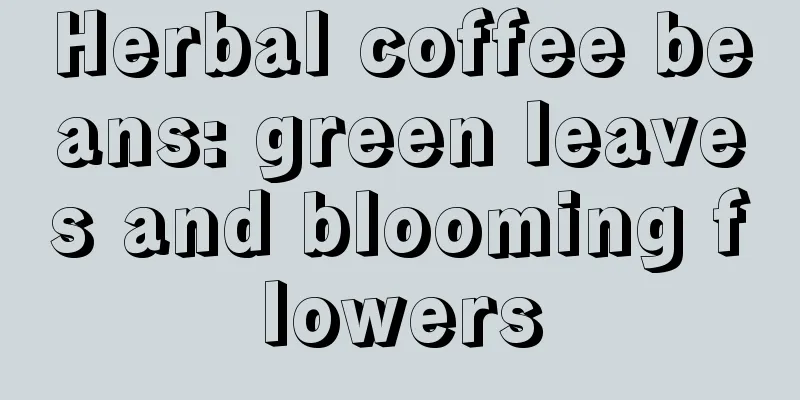 Herbal coffee beans: green leaves and blooming flowers