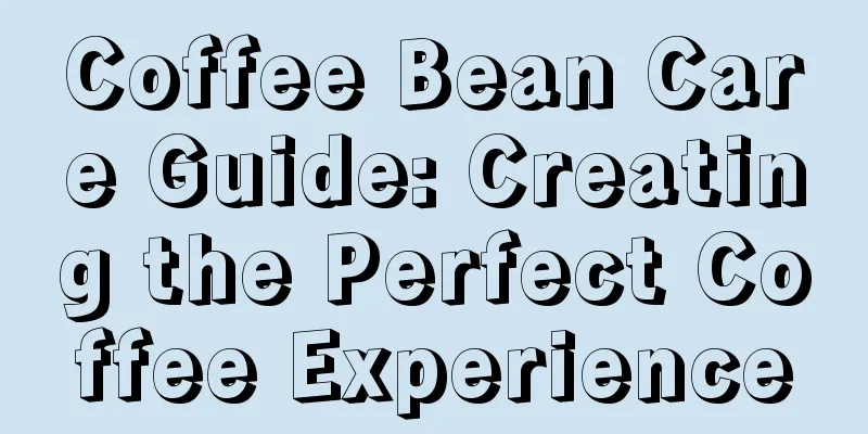 Coffee Bean Care Guide: Creating the Perfect Coffee Experience