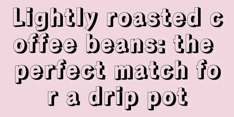 Lightly roasted coffee beans: the perfect match for a drip pot