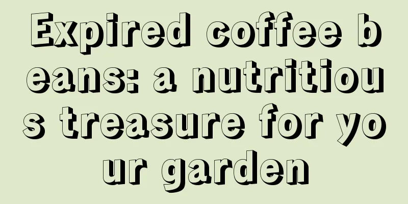 Expired coffee beans: a nutritious treasure for your garden