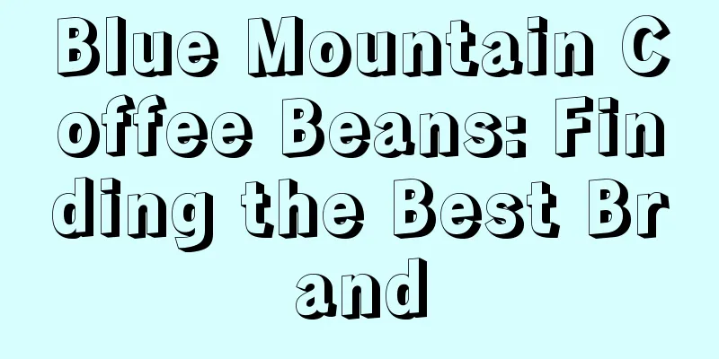 Blue Mountain Coffee Beans: Finding the Best Brand