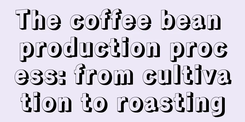 The coffee bean production process: from cultivation to roasting