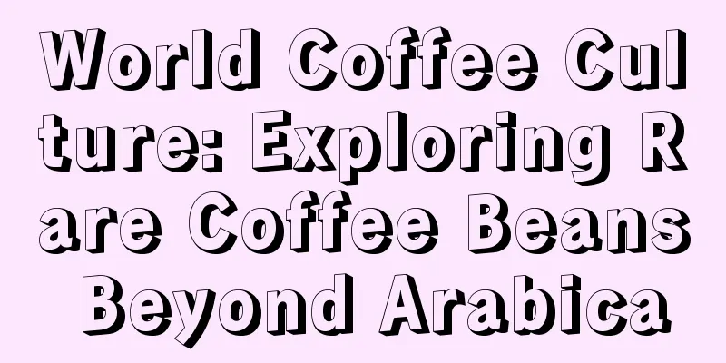 World Coffee Culture: Exploring Rare Coffee Beans Beyond Arabica