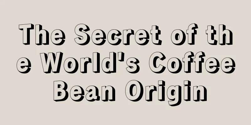 The Secret of the World's Coffee Bean Origin