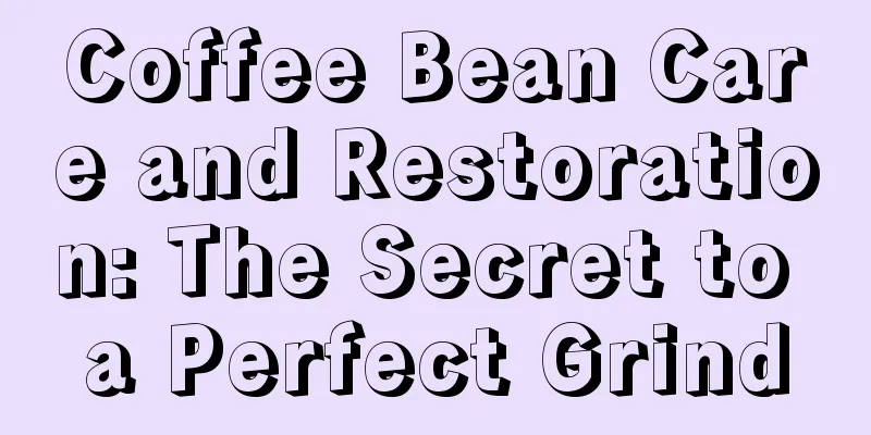 Coffee Bean Care and Restoration: The Secret to a Perfect Grind