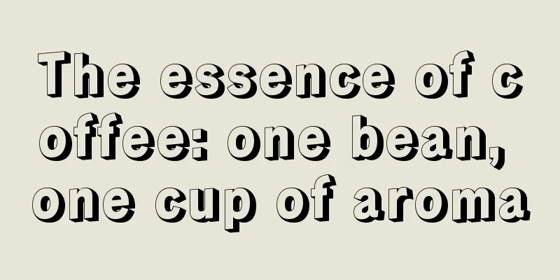 The essence of coffee: one bean, one cup of aroma