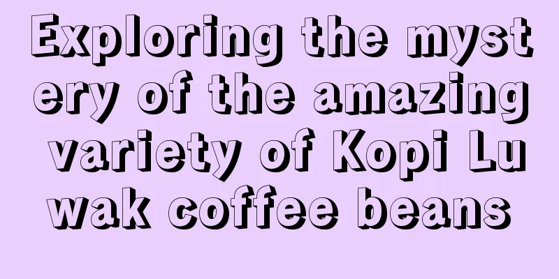 Exploring the mystery of the amazing variety of Kopi Luwak coffee beans