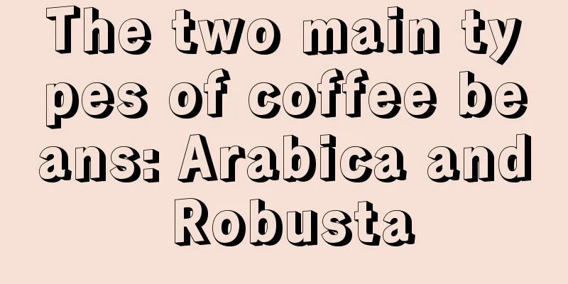 The two main types of coffee beans: Arabica and Robusta