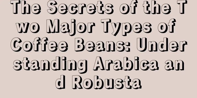 The Secrets of the Two Major Types of Coffee Beans: Understanding Arabica and Robusta