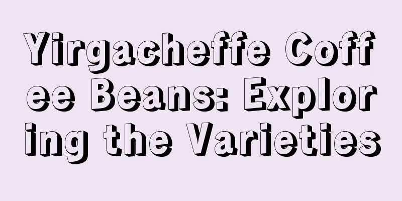 Yirgacheffe Coffee Beans: Exploring the Varieties