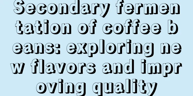 Secondary fermentation of coffee beans: exploring new flavors and improving quality