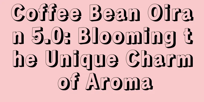 Coffee Bean Oiran 5.0: Blooming the Unique Charm of Aroma