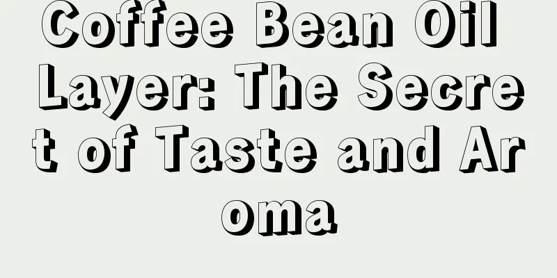 Coffee Bean Oil Layer: The Secret of Taste and Aroma