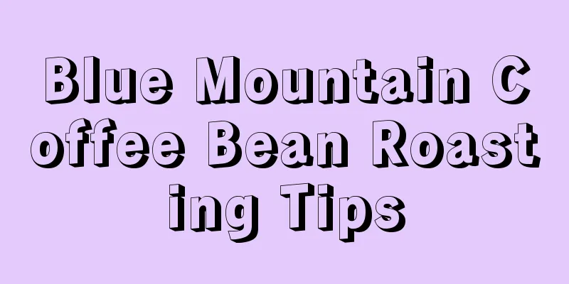 Blue Mountain Coffee Bean Roasting Tips