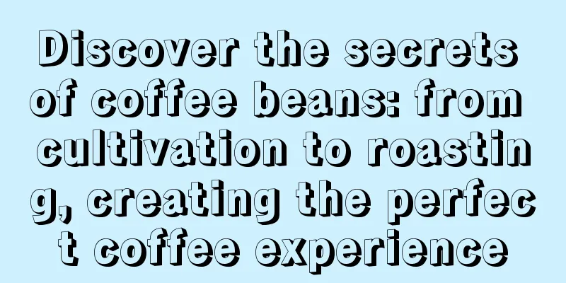 Discover the secrets of coffee beans: from cultivation to roasting, creating the perfect coffee experience