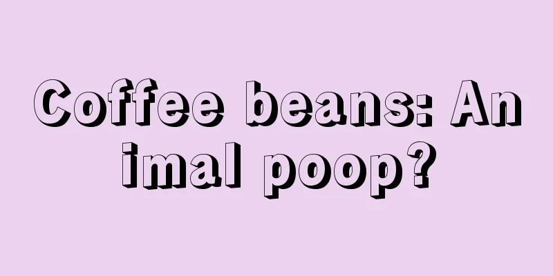 Coffee beans: Animal poop?