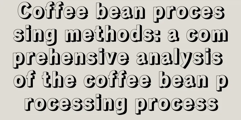 Coffee bean processing methods: a comprehensive analysis of the coffee bean processing process