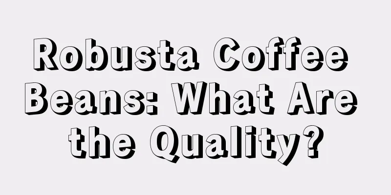 Robusta Coffee Beans: What Are the Quality?