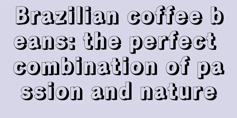 Brazilian coffee beans: the perfect combination of passion and nature