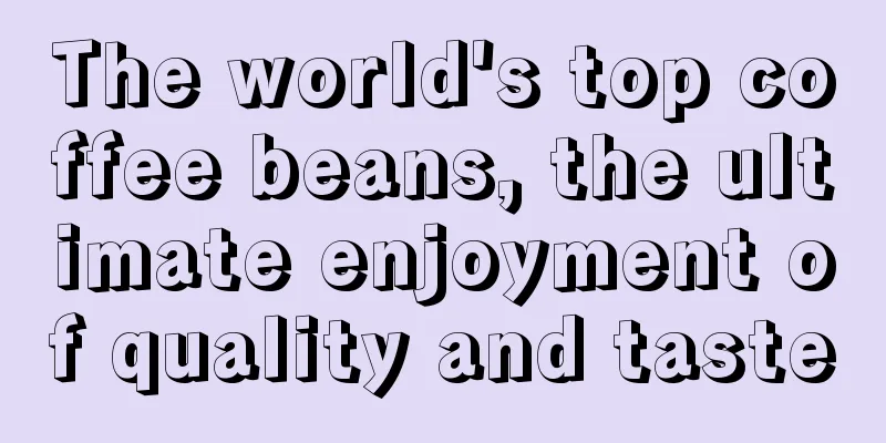 The world's top coffee beans, the ultimate enjoyment of quality and taste