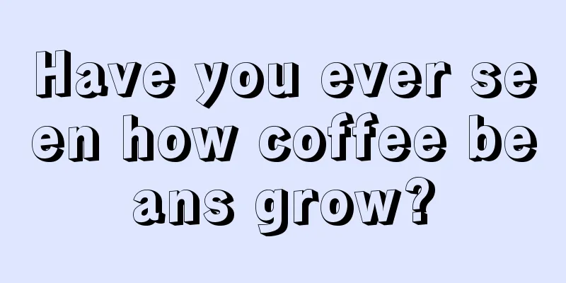 Have you ever seen how coffee beans grow?