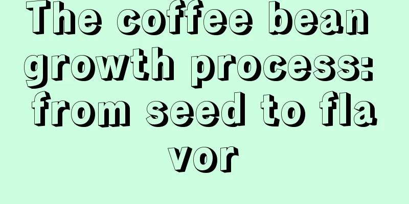 The coffee bean growth process: from seed to flavor