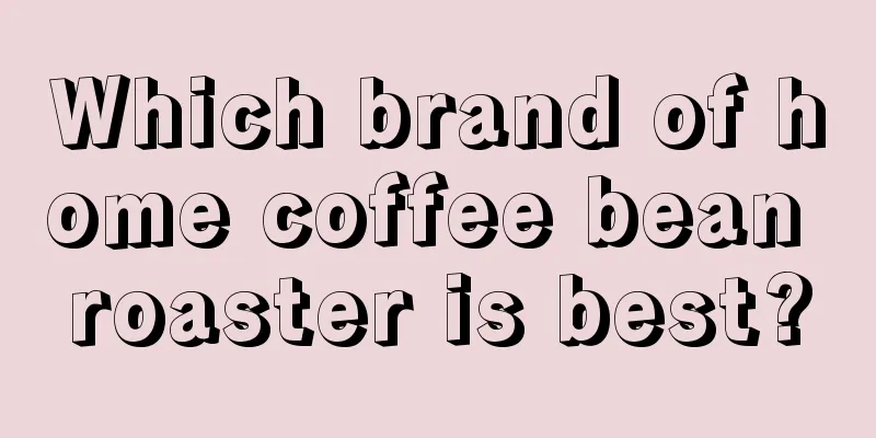 Which brand of home coffee bean roaster is best?