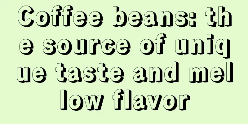 Coffee beans: the source of unique taste and mellow flavor