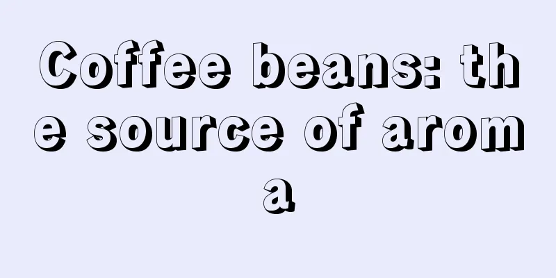 Coffee beans: the source of aroma