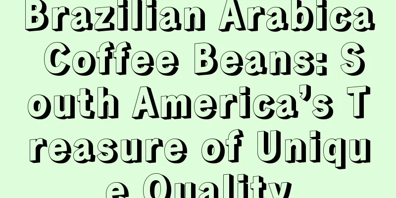 Brazilian Arabica Coffee Beans: South America’s Treasure of Unique Quality