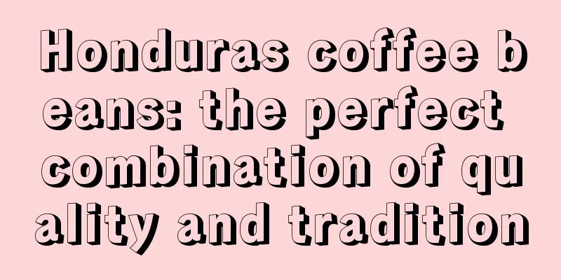 Honduras coffee beans: the perfect combination of quality and tradition