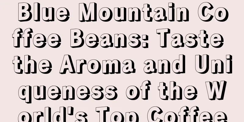 Blue Mountain Coffee Beans: Taste the Aroma and Uniqueness of the World's Top Coffee