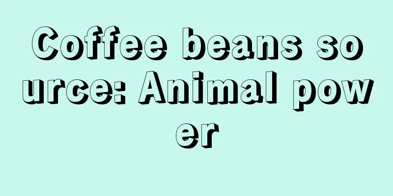 Coffee beans source: Animal power