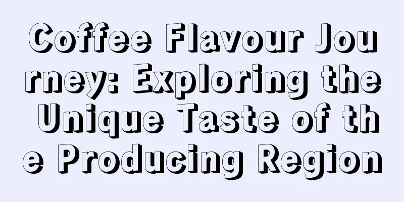 Coffee Flavour Journey: Exploring the Unique Taste of the Producing Region