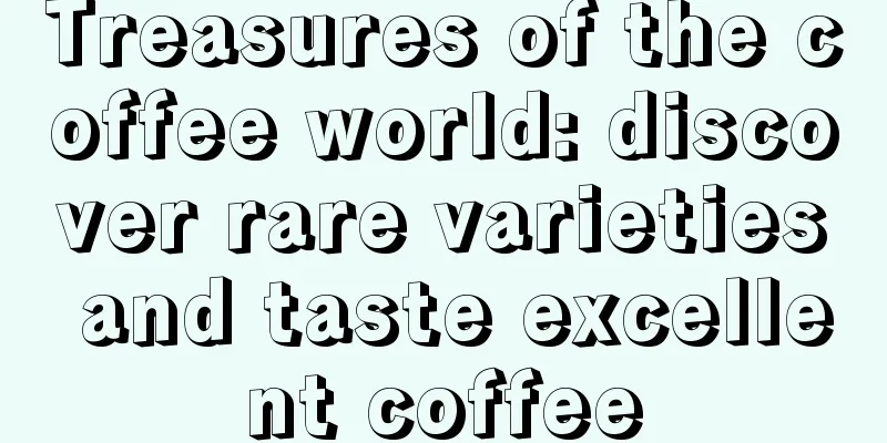 Treasures of the coffee world: discover rare varieties and taste excellent coffee