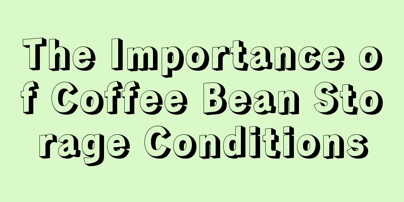 The Importance of Coffee Bean Storage Conditions