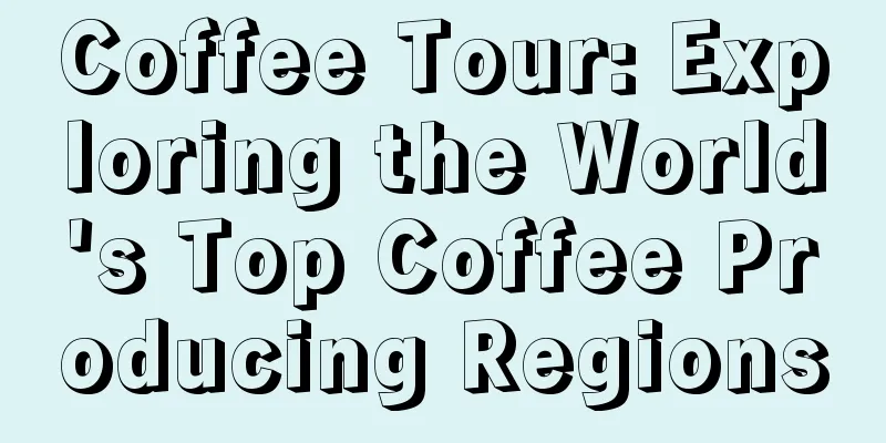 Coffee Tour: Exploring the World's Top Coffee Producing Regions