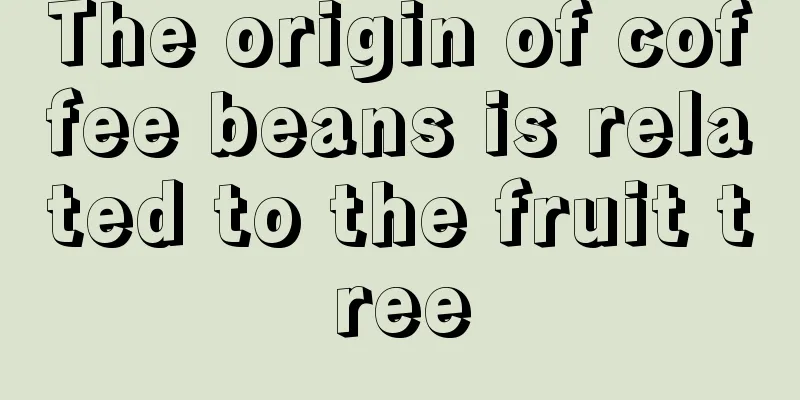 The origin of coffee beans is related to the fruit tree