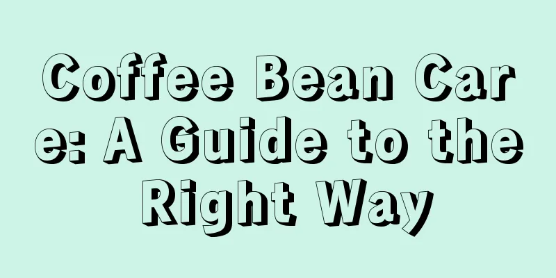 Coffee Bean Care: A Guide to the Right Way