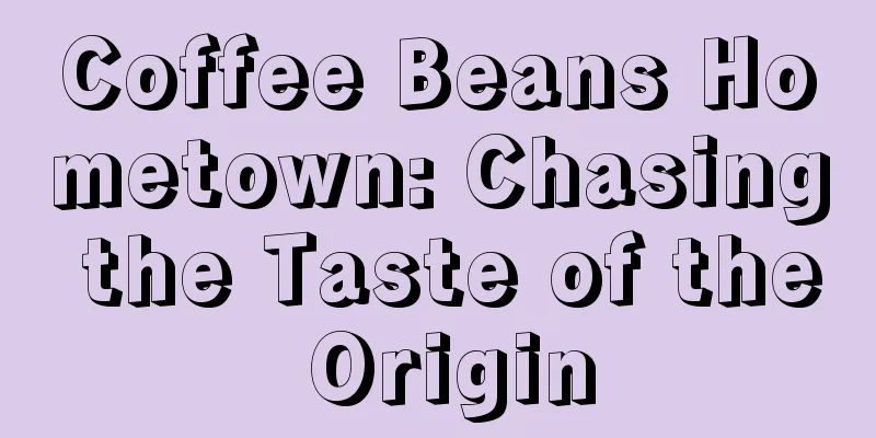 Coffee Beans Hometown: Chasing the Taste of the Origin