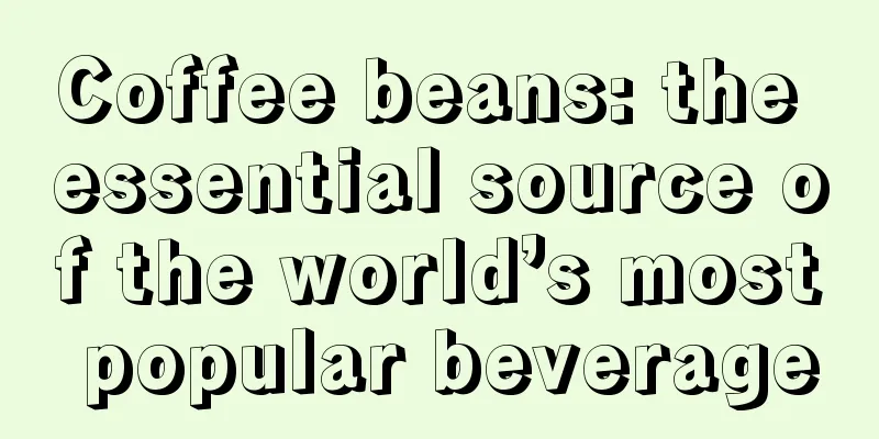 Coffee beans: the essential source of the world’s most popular beverage