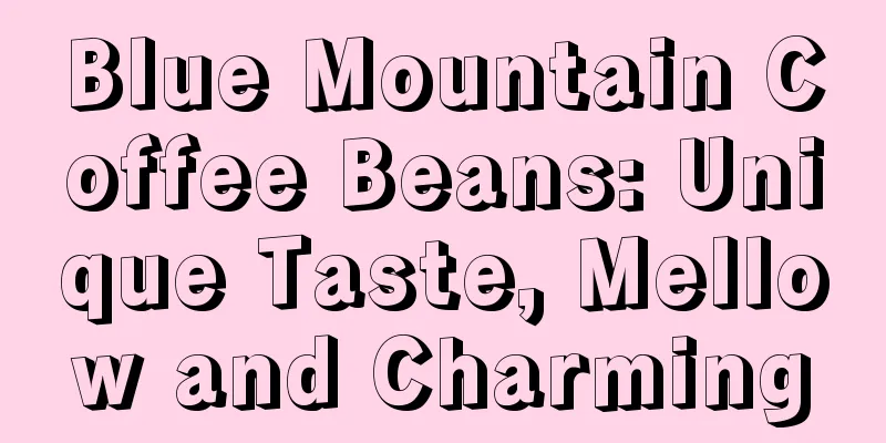 Blue Mountain Coffee Beans: Unique Taste, Mellow and Charming