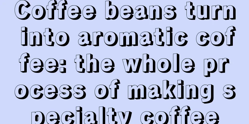 Coffee beans turn into aromatic coffee: the whole process of making specialty coffee