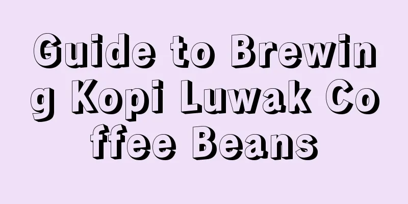 Guide to Brewing Kopi Luwak Coffee Beans