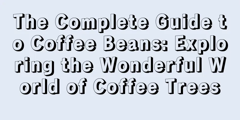 The Complete Guide to Coffee Beans: Exploring the Wonderful World of Coffee Trees