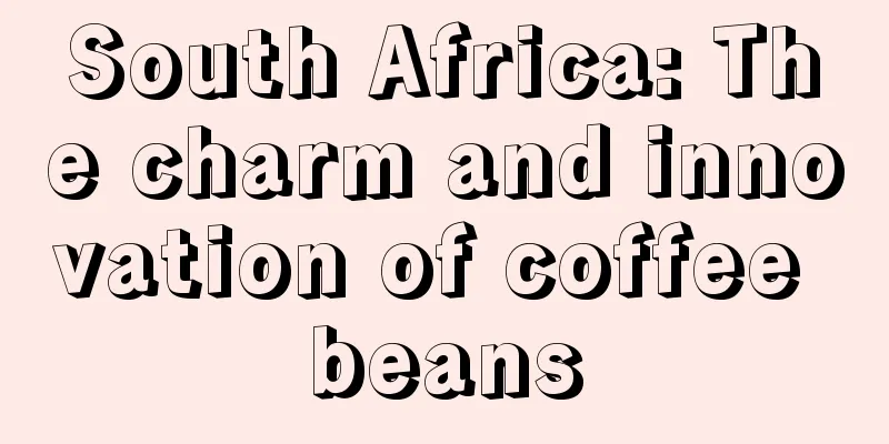 South Africa: The charm and innovation of coffee beans