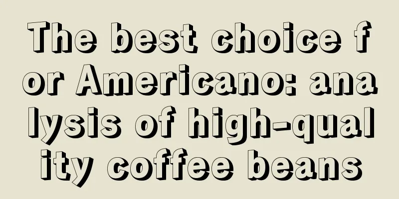 The best choice for Americano: analysis of high-quality coffee beans