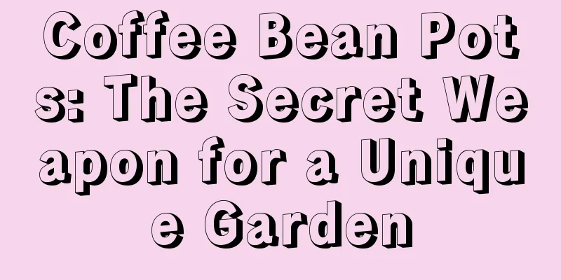 Coffee Bean Pots: The Secret Weapon for a Unique Garden