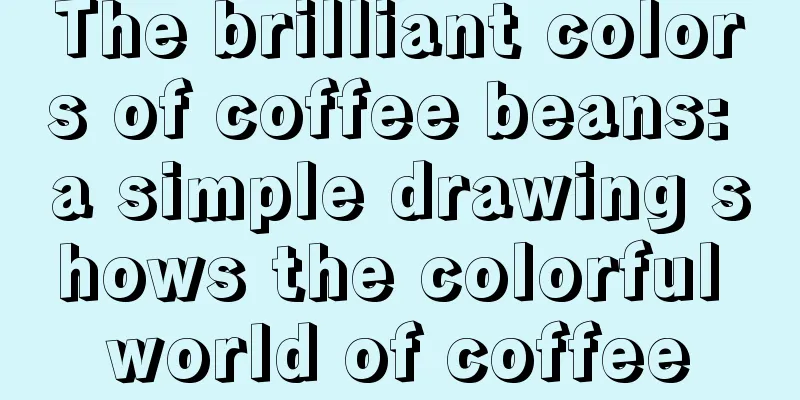 The brilliant colors of coffee beans: a simple drawing shows the colorful world of coffee