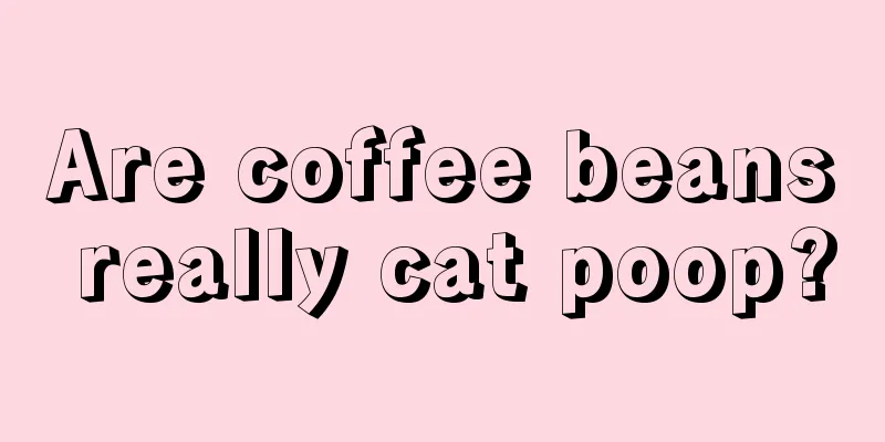 Are coffee beans really cat poop?